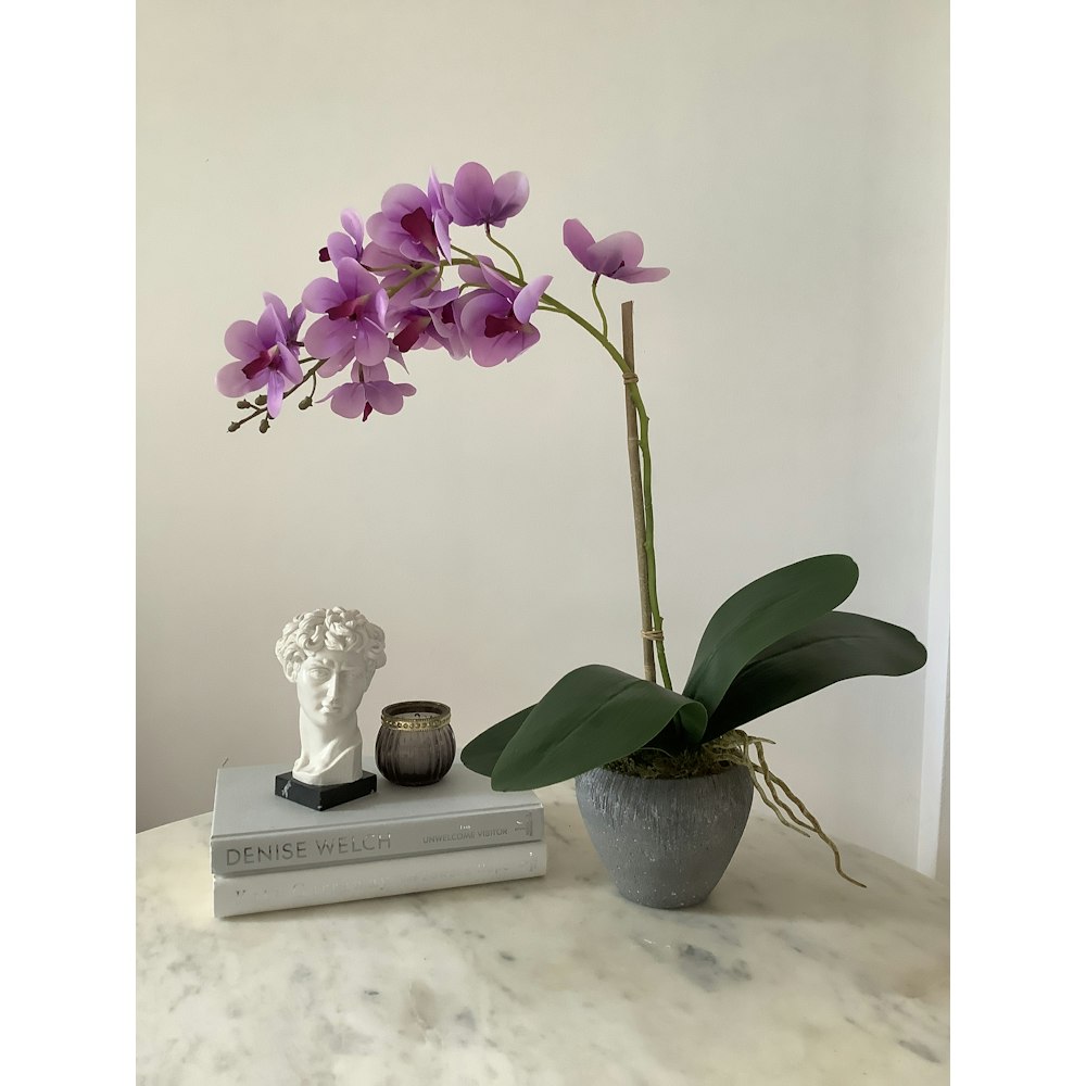 Peacock and Pink Faux Single Stem Fuschia Ascocenda Orchid Flower Arrangement.