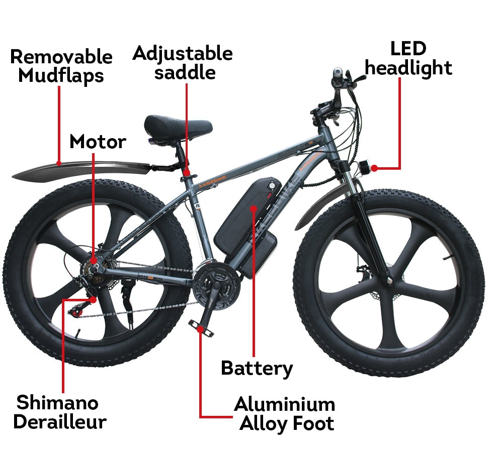 AKEZ 750W 48V Snow eBike 26-Inch Electric Bike Motorized Bicycle