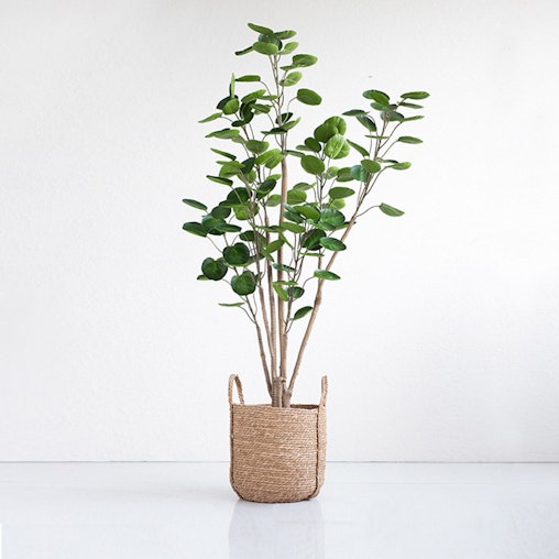 SOGA 4X 180cm Green Artificial Indoor Pocket Money Tree Fake Plant Simulation Decorative SOGA 4X 180cm Green Artificial Indoor Pocket Money Tree Fake Plant Simulation Decorative
