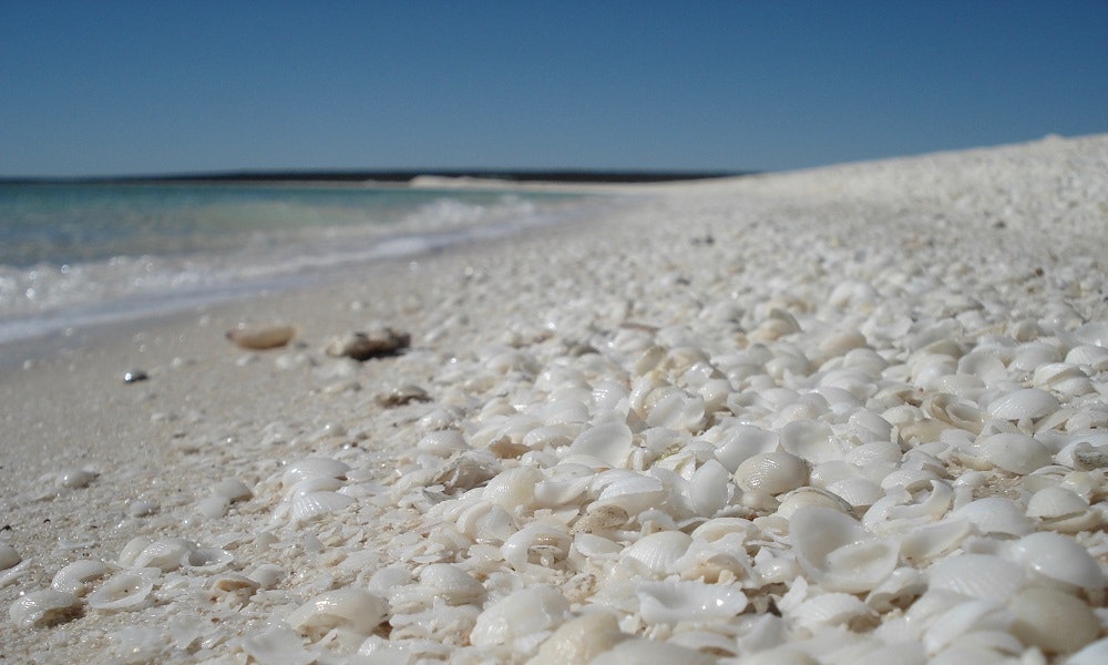 coral_coast_03-jpg