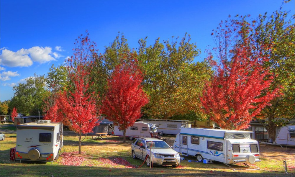 ride-high-country-destination-beechworth-40-jpg