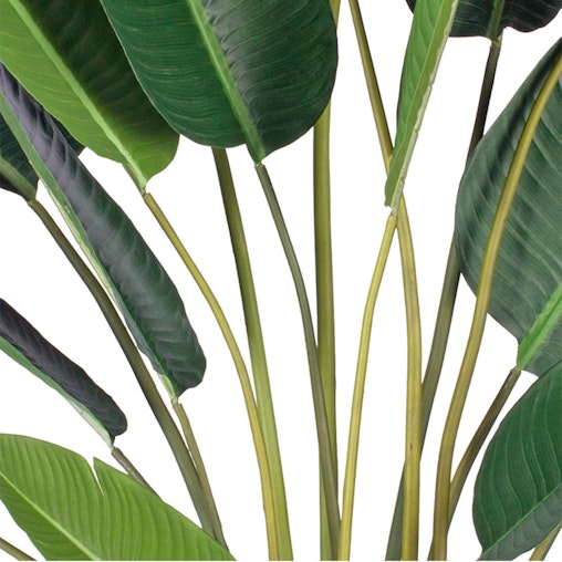 SOGA 4X 220cm Artificial Giant Green Birds of Paradise Tree Fake Tropical Indoor Plant Home Office Decor SOGA 4X 220cm Artificial Giant Green Birds of Paradise Tree Fake Tropical Indoor Plant Home Office Decor