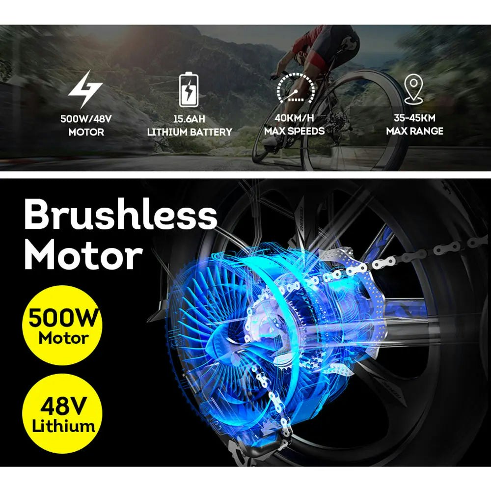 AKEZ 500W 48V 20 Inches Fat Tire Electric Bike Large Capacity Removable Battery - Black