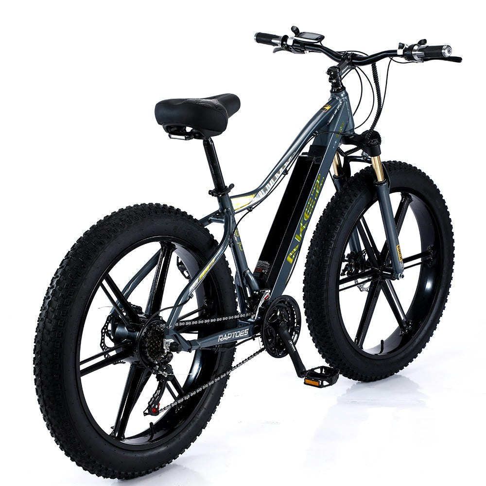 AKEZ 750W 48V ML1P Snow Bicycle 26 inches Beach Electric Bike Motorized eBike Battery