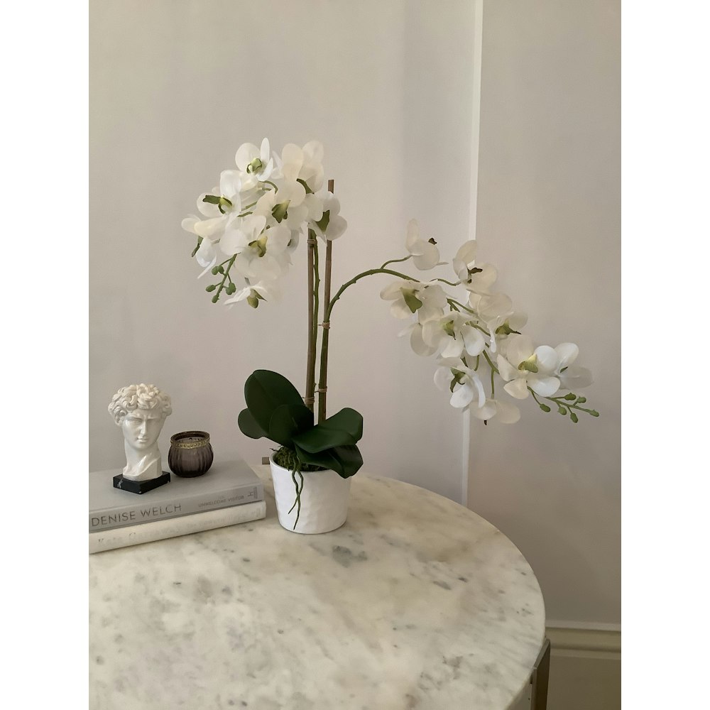 Peacock and Pink Faux Double Stem White Ascocenda Orchid Flower Arrangement.
